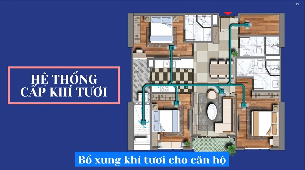 Viha Complex - Viha Leciva https://batdongsan-bamien.com.vn 20